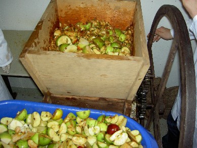 Apfelweinherstellung